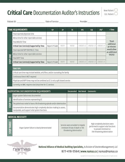 medical chart audit template