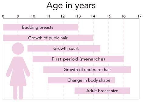 Breast Development Stages Ages