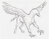 Hippogriff Coloring Pages Printable Template sketch template