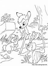 Bambi Pintar Tambor Grimaces Pobarvanka Pobarvanke Panpan Junto Bambi2 Coloriez Magnifique Pampan sketch template