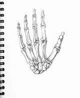 Hand Skeleton Sketch Drawing Sketches Paintingvalley sketch template