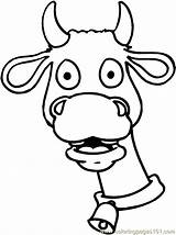 Coloring Cow Face Funny Pages Coloringpages101 sketch template