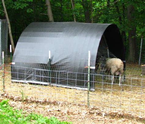 images  barns sheds  animal houses