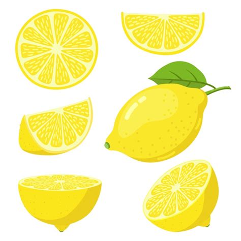 premium vector set  colorful lemon designs