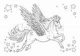 Pegasus Pferd Erwachsene Einhorn Pferde sketch template