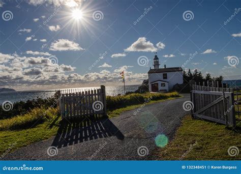 lobster cove lighthouse trail editorial photo image  site