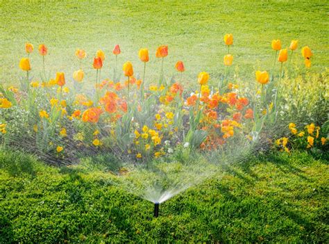 utah offers  rebate  automatic sprinkler installations mia