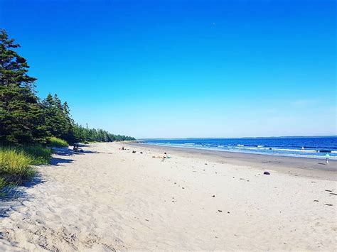 sandy stroll  beauty   south shore  nova scotia rissers beach beachwalk bluewater