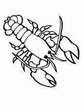 Lobster Coloring Pages Sea Crayfish Crawfish Kids Drawing Colouring Animals Outline Marine Animal Simple Clipart Line Cute Color Printable Ocean sketch template