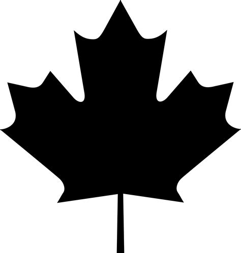 canadian maple leaf   canadian maple leaf png images