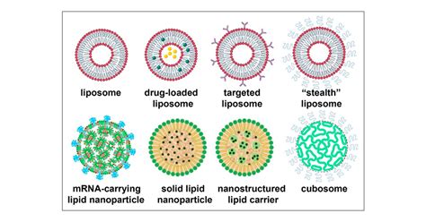 lipid nanoparticlesfrom liposomes  mrna vaccine delivery