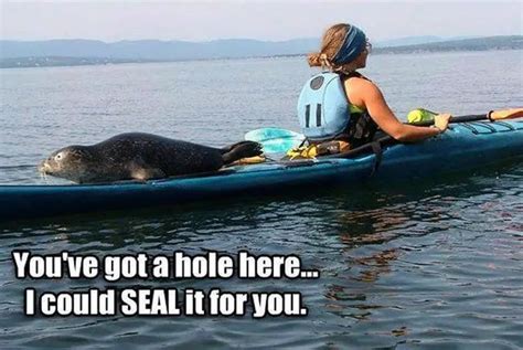 fun kayak puns jokes canoe   flat bottom boat world
