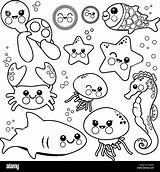 Animali Marinos Marins Creatures Ausmalen Meereswelt Alamyimages Fische Tortue Malvorlage Illustrazione Ans Furkan sketch template