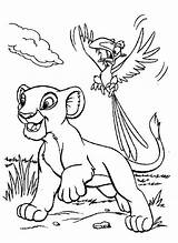 Zazu Simba Roi Kidsplaycolor Leão öffnen Coloriages sketch template