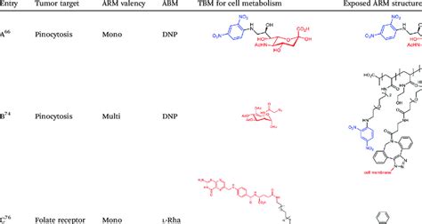 chemical structures  binding   cancer cell membrane