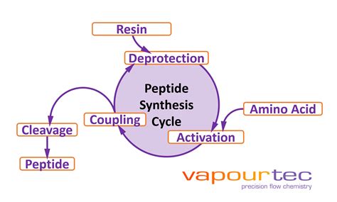 peptide synthesis  flow chemistry  tube   view