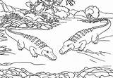 Coloring Pages Swamp Animals Getdrawings sketch template