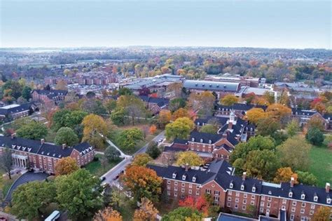 miami university offers  full tuition scholarship  students