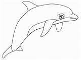 Dolphin Coloring sketch template