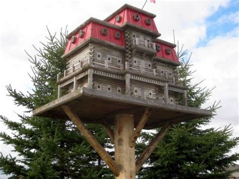crazy birdhouse designs google search bird house kits bird houses decorative bird houses