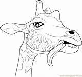 Giraffe Coloring Funny Face Pages Color Printable Drawing Head Getdrawings Coloringpages101 Getcolorings Animals Online sketch template