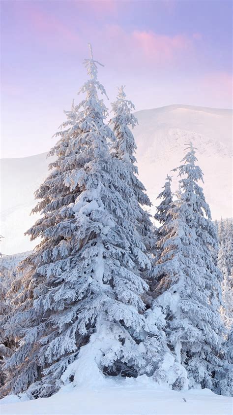 tumblr hintergrundbilder winter beliebter desktop