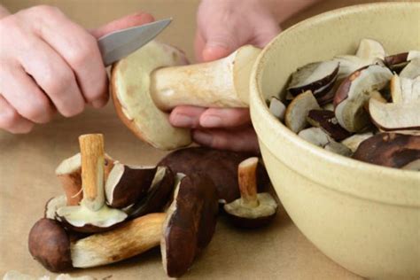 mushroom season tips   clean  cook mushrooms