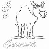 Camel Coloring Cartoon Pages Coloringbay sketch template