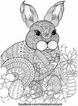 Coloring Pages Adult Mandala Sheets Easter Colouring Rabbit Bunny Bunnies Spring Color Adults Book Między Kids Animals Books Mindfulness Animal sketch template