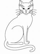 Cat Angry Drawing Coloring Getdrawings sketch template