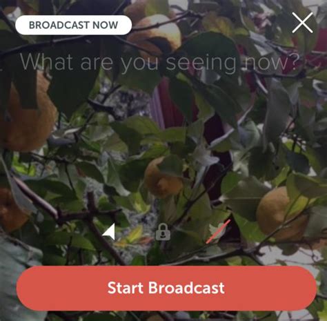 Twitter Launches Periscope A Meerkat Like Live Video