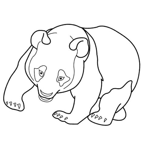 colouring pages panda bears panda coloring pages nza    pages   panda holding