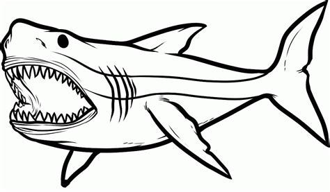 top  ideas  printable shark coloring pages home family style  art ideas