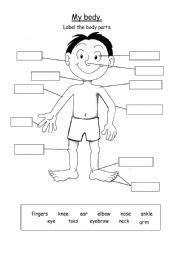 label body parts worksheet labels design ideas  body parts label human body anatomy