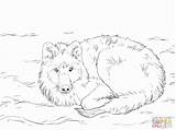 Coloring Wolf Pages Howling Pack Arctic Popular Library Clipart Adults Line Coloringhome sketch template