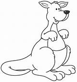 Kangaroo Canguros Canguro Infantil Animados Picasa Menta Educación Preto Preschool Boyama Kanguru Bordar sketch template