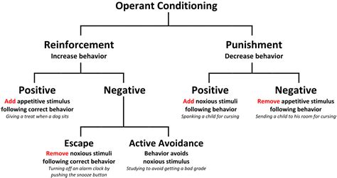 difference  escape conditioning  avoidance