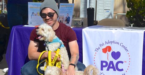 spa gregories newport beach treats rescue dogs  valentine adoption