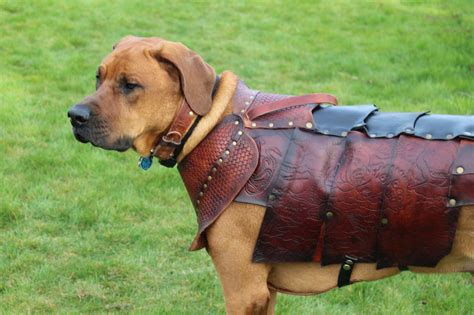custom leather dog armor barding deposit etsy   dog armor