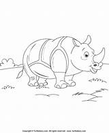 Coloring Rhinoceros sketch template