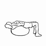 Ball Stability Crunches Exercise Crunch Abdominal Exercises Muscle sketch template