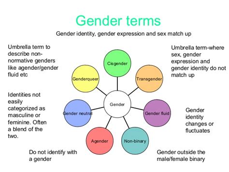 sexual and gender identity lesson ppt