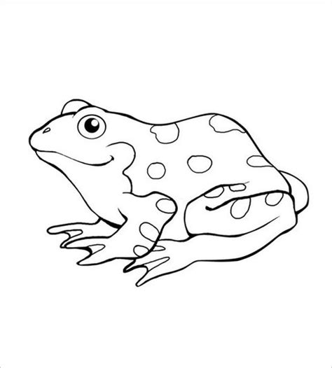 frog template animal templates animal templates frog coloring