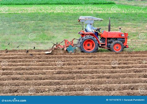 farmer  tractor plowing land  red tractor  agriculture editorial stock photo image