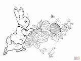 Rabbit Peter Easter Coloring Egg Pages Potter Beatrix Hunt Printable Color Radish Supercoloring Colouring Illustration Drawing Hunting Paper Sheet sketch template