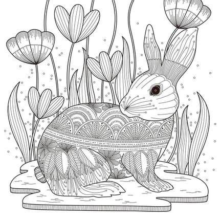 baby animal coloring pages  adults collage