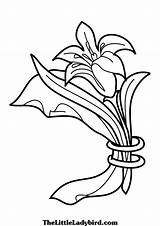 Lilac Flower Drawing Getdrawings Coloring Pages Flowers sketch template
