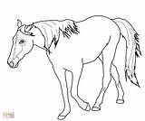 Horse Coloring Quarter Tennessee Pages Getcolorings Color Walking Getdrawings Printable sketch template