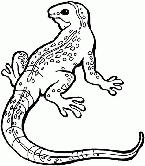 toddler  printable lizard coloring pages  kids simple cute