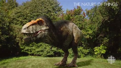 the real t rex tristan comes to life cbc ca
